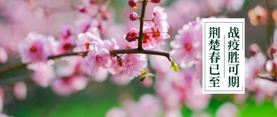全覆盖教学,各高校中心组学习制度
