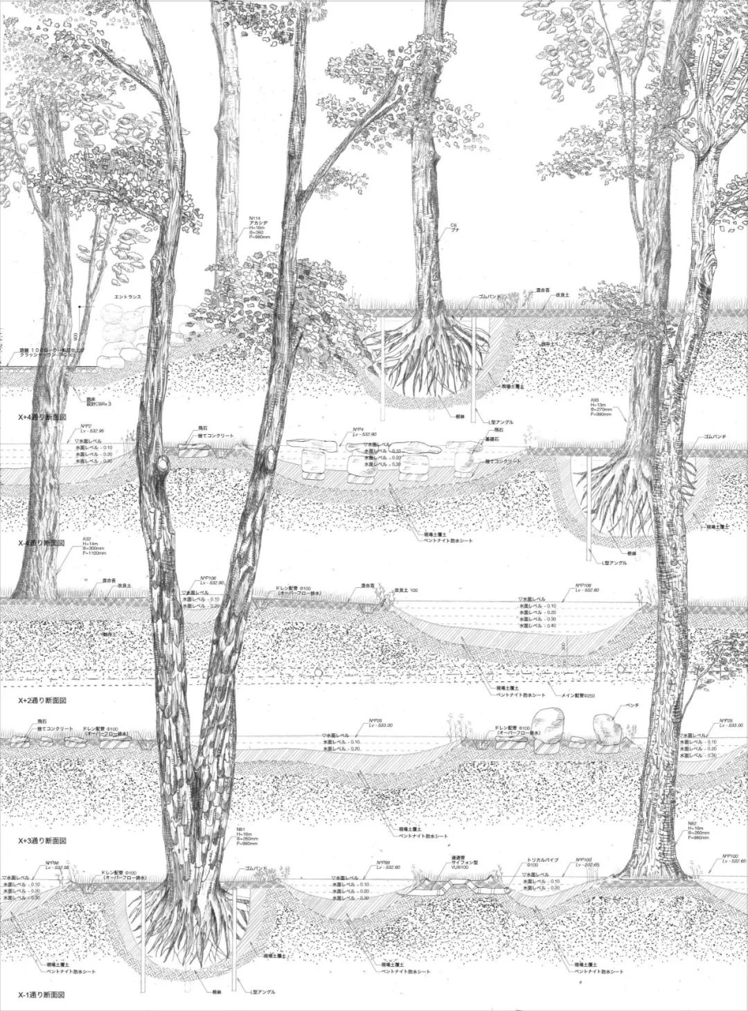 一年一度的植树,现在正在植树的视频