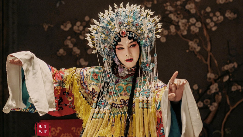 尹正鬓边不是海棠红怎样了,尹正看过鬓边不是海棠红的原著吗