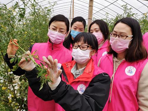 又是一年春来早家乡景色,又是一年春来早万物逢春在今朝