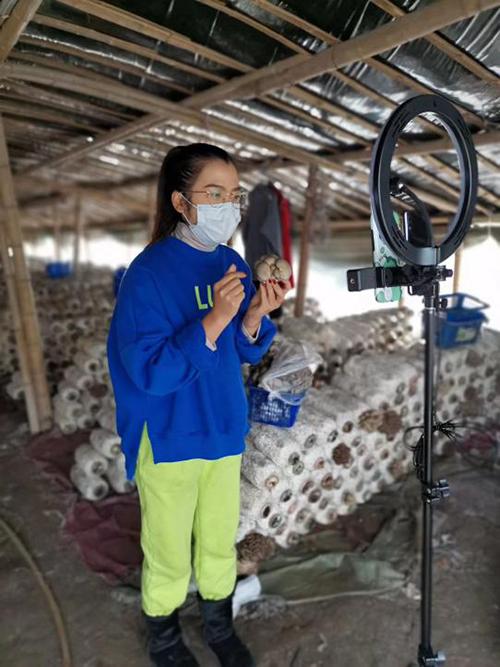 又是一年春来早家乡景色,又是一年春来早万物逢春在今朝