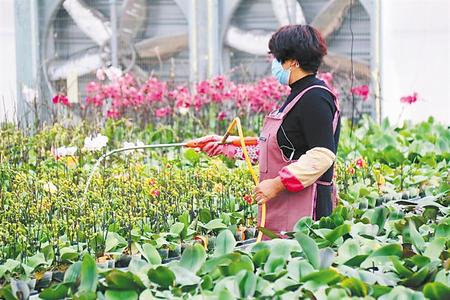 决战决胜脱贫攻坚手抄报内容图文,书写精彩脱贫答卷