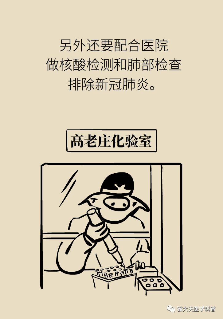 颈动脉斑块什么情况下要放支架,颈动脉斑块手术可以微创不支架吗