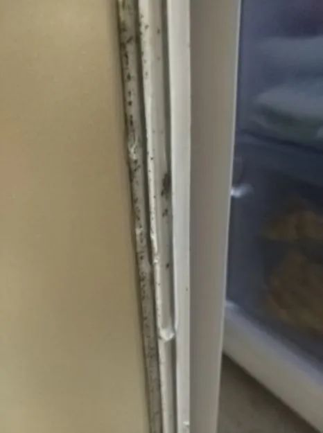 回南天除霉神器,回南天除霉剂