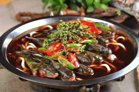 成都田园风光旅游攻略,成都旅游攻略清吧