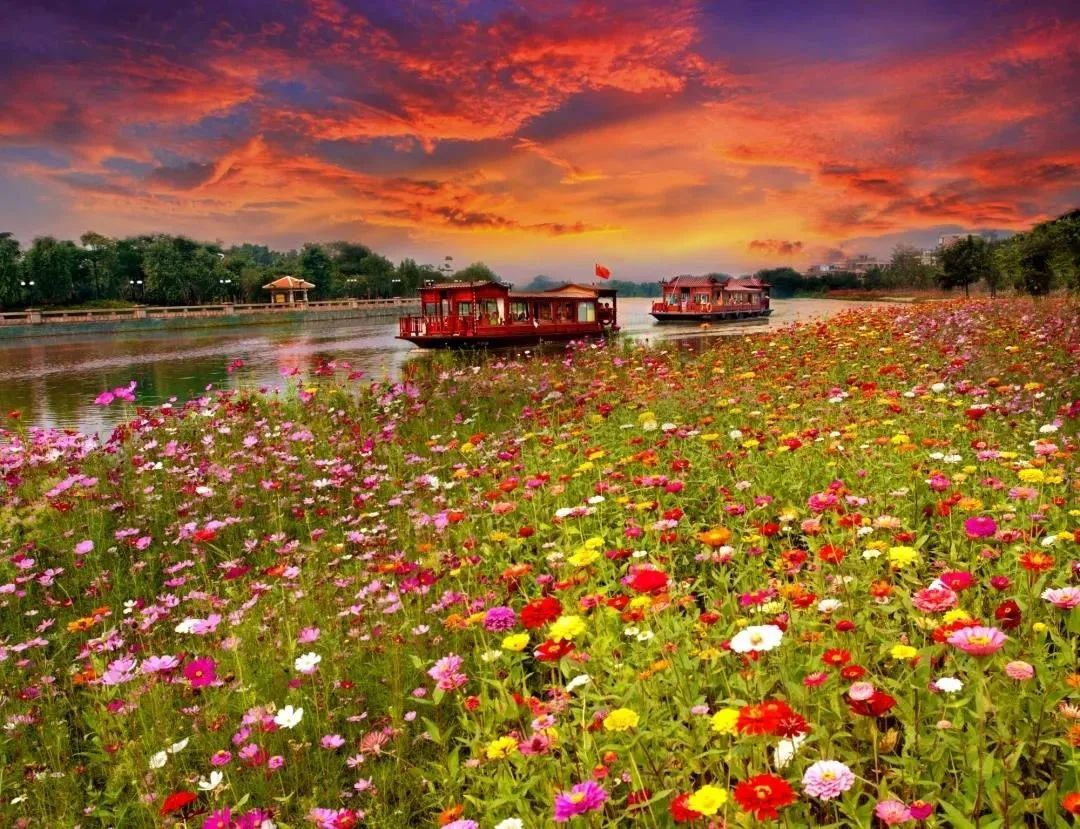 佛山黄岐文体中心最新进展,佛山最新景区活动