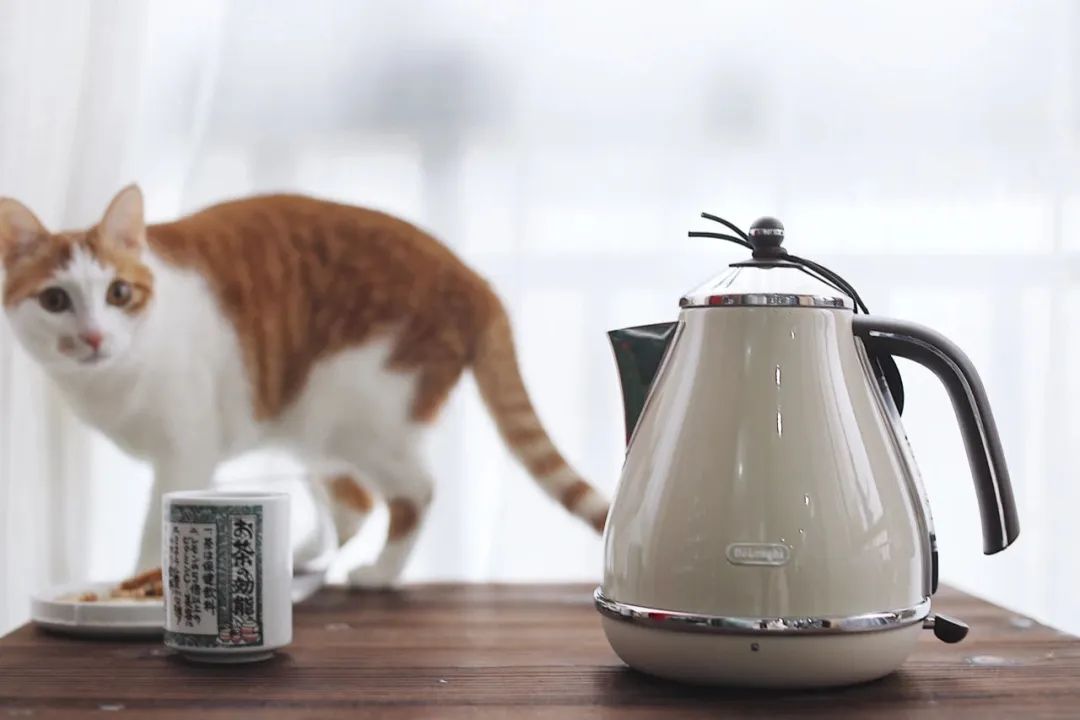 美食博主高颜值高级餐具,美食博主餐具