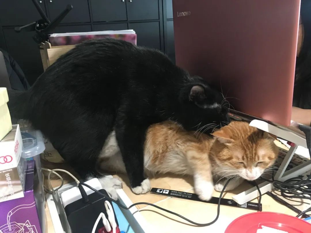 终于，我们也要出卖私生活了