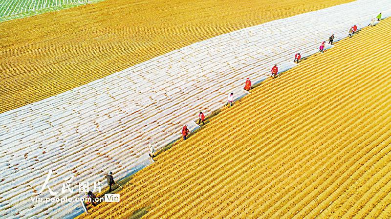 守好疫情防控“安全线”按下经济回暖“快进键”