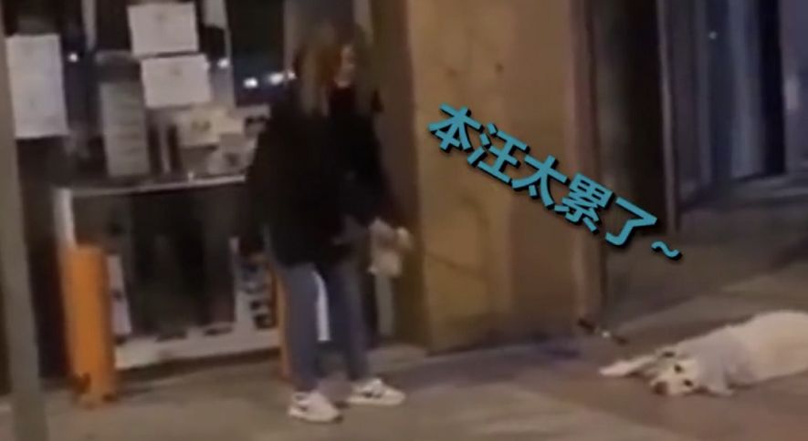 意大利死亡超5000！抗疫护士发烧后自杀，医院仿佛人间地狱....