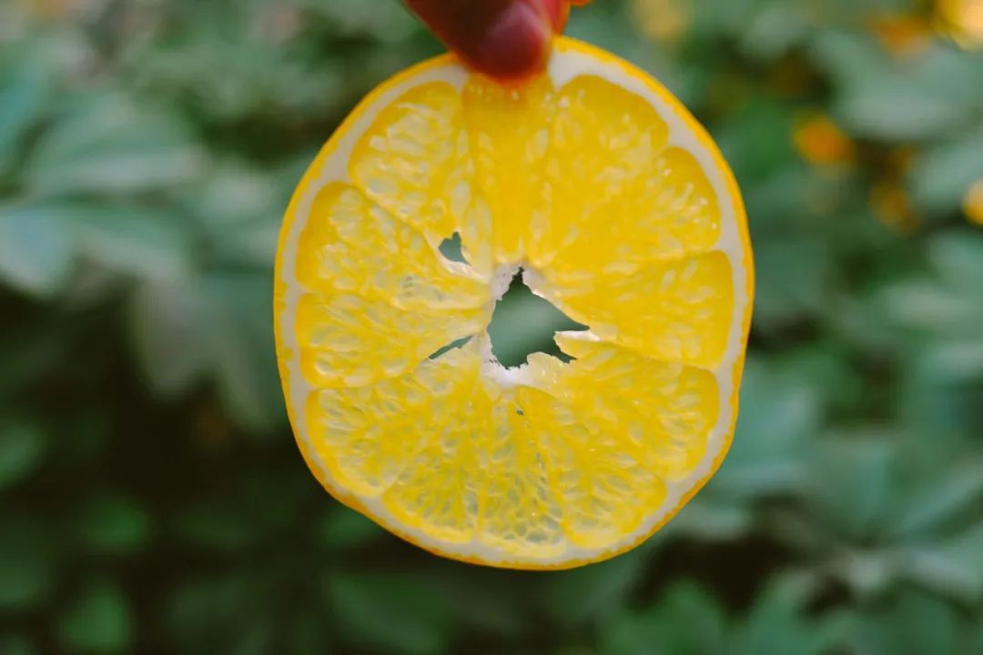 学会这6杯「快乐水」,跟奶茶店说byebye