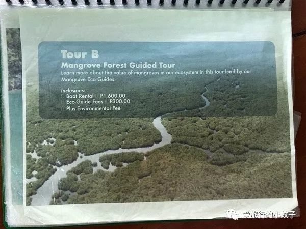 菲律宾最好的冲浪地点,菲律宾哪里适合冲浪