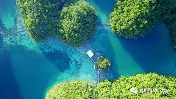 菲律宾最好的冲浪地点,菲律宾哪里适合冲浪
