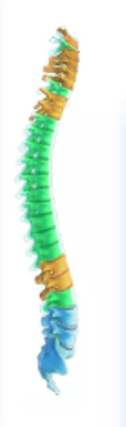 航天级无创体检仪登陆肇庆院子，1分钟告别亚健康