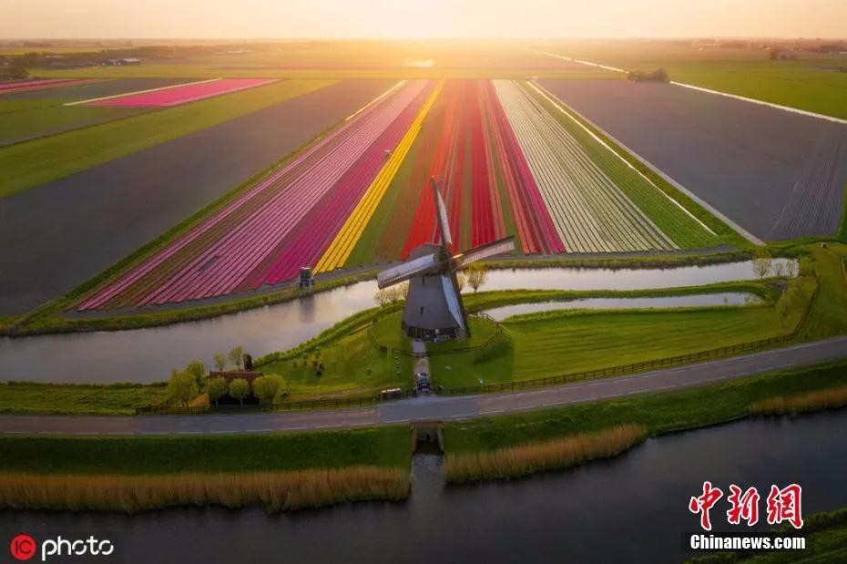 中国签证最新官方消息查询,外国人在中国签证过期怎么处理