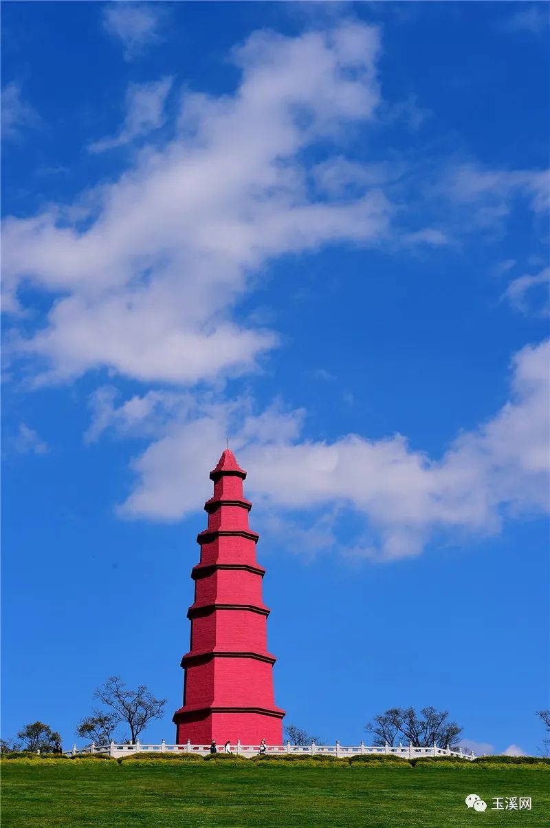 诗情画意文峰路,诗情画意岩茶