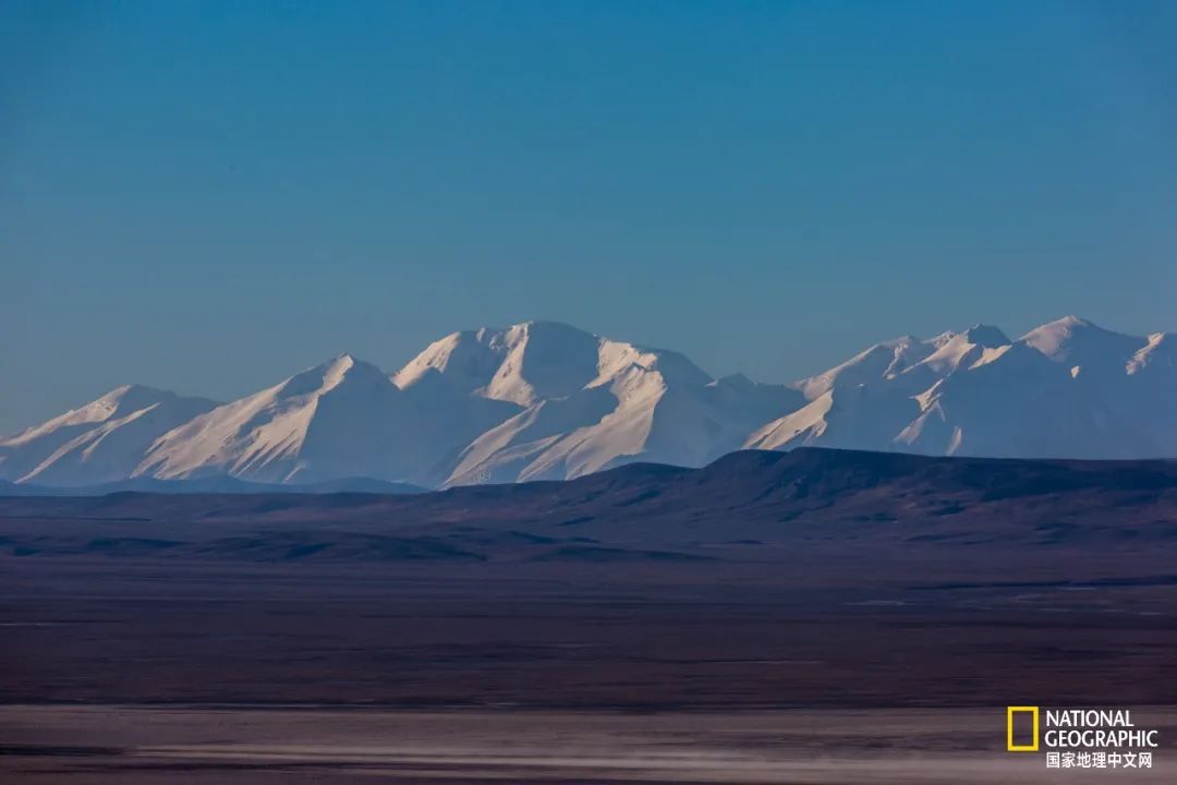 可可西里爱而不得,不要盲目向往可可西里