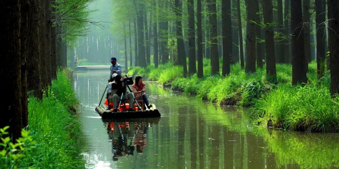 兴化千垛菜花攻略,兴化千垛菜花有多美