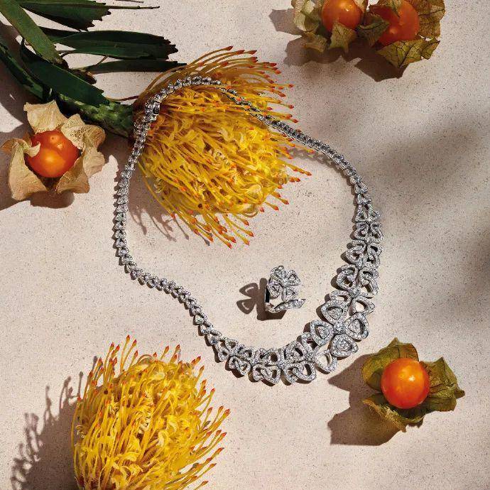 lv鍙ｇ僵鍜宒ior,lv鍜宒ior鍙ｇ僵