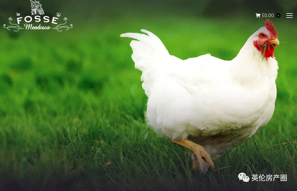 瀹呭鍥よ揣鍏ㄩ泦,瀹呭鍥よ揣娓呭崟鏀惰捣