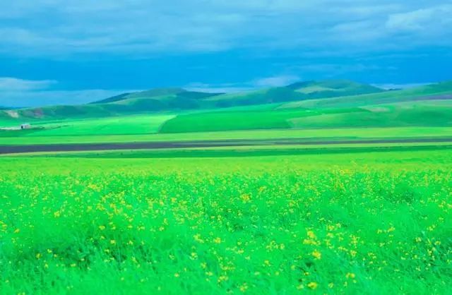 白居易古诗草背后的故事,白居易的诗草为什么只有前四句