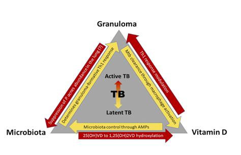 结核病最好的锻炼方法,结核病膳食营养改善建议