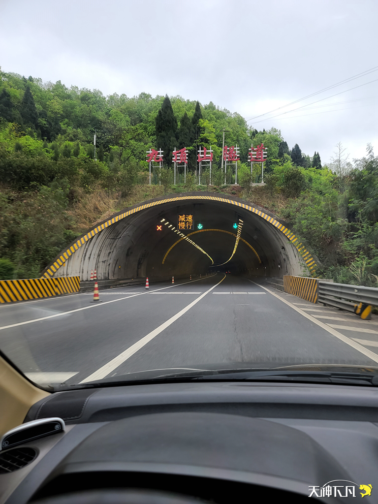 凤凰涅盘浴火重生对火的崇拜,凤凰涅盘浴火重生需要的是勇气