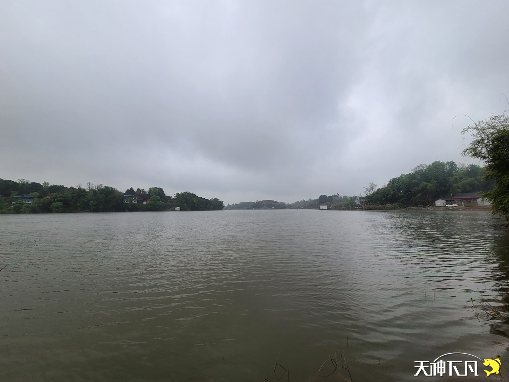 凤凰涅盘浴火重生对火的崇拜,凤凰涅盘浴火重生需要的是勇气