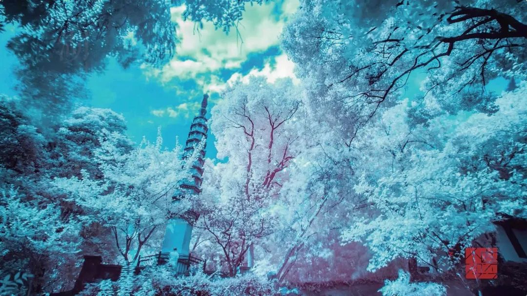 软硬件+转码/延时+剪辑+调色，纪录片后期制作电影化流程“全套”揭秘