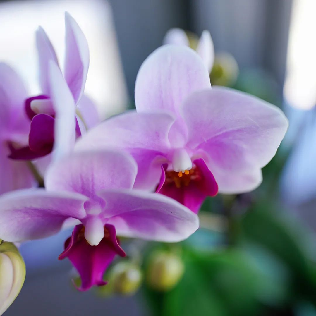 索尼fe20mmf1.8g超广角镜头,索尼fe35mmf1.4gm镜头测评