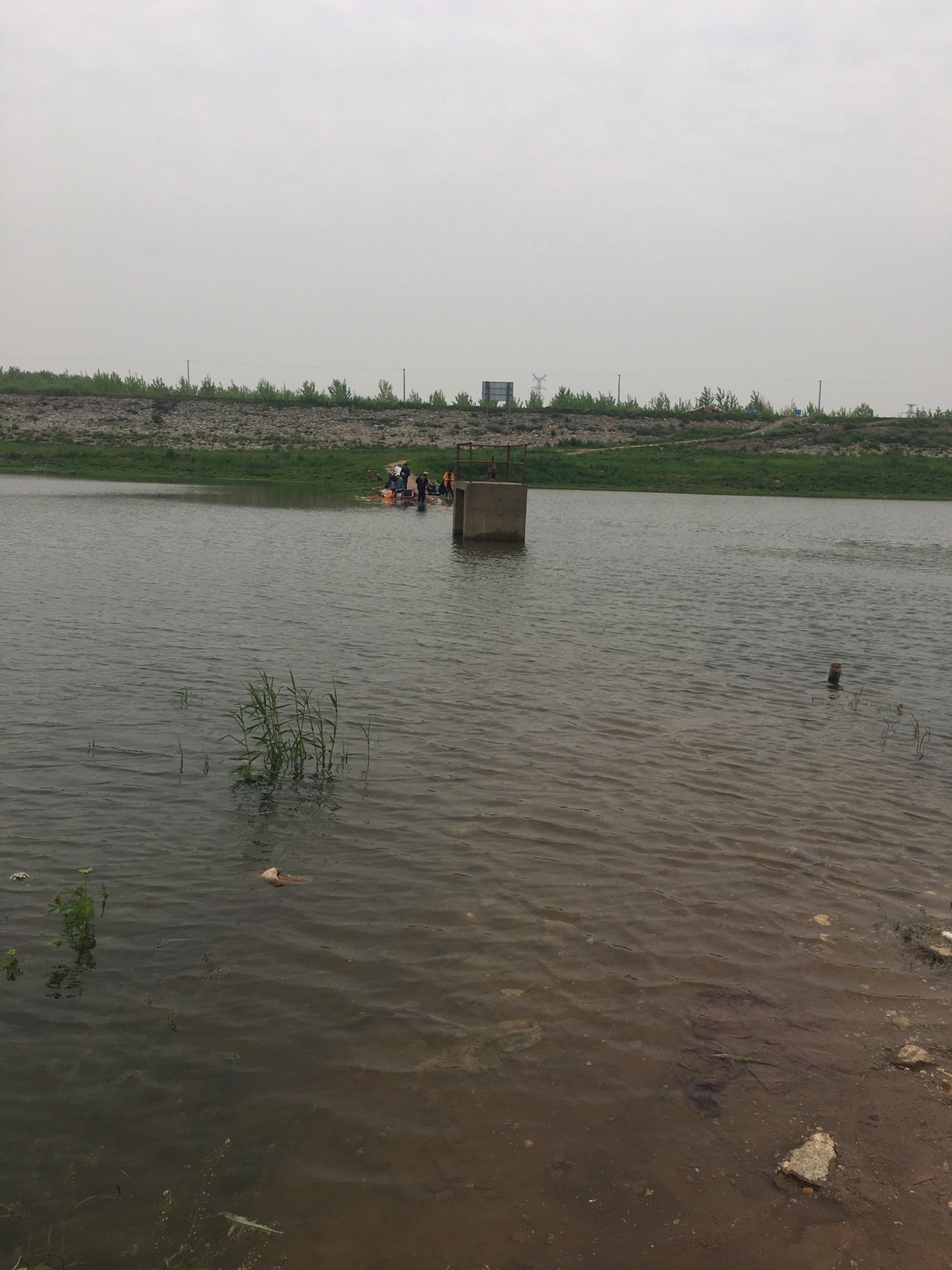 锵锵三人行余秀华读诗,锵锵三人行马未都邓亚萍