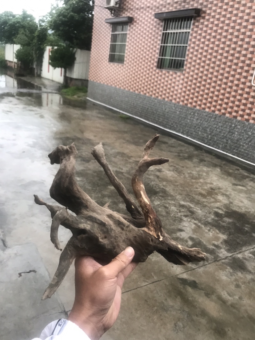 痴迷钓鱼人,钓鱼爱好者喜欢的工具