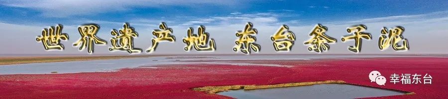 东台有什么特产最出名,江苏省东台市农副产品有什么