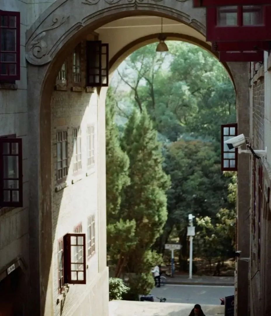 疫情下的美国日记丨陈丽华：加州四月槐花香