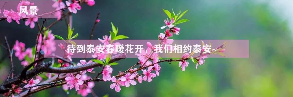 春暖花开古镇一游,春秋古镇景区