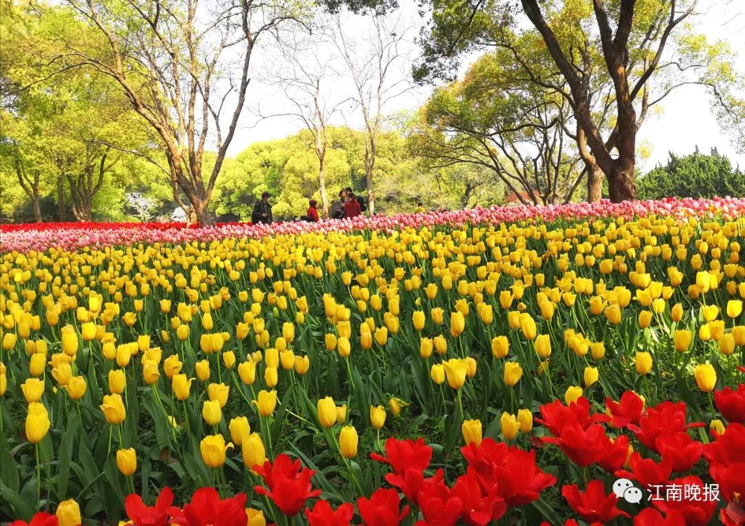 无锡这几天天气,无锡这一周的天气情况
