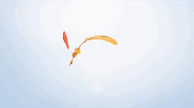 全国法院知识产权典型案件,法院发布知识产权典型案件