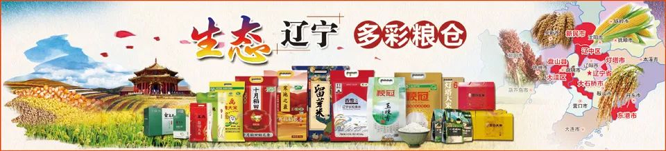 「聚焦玉米」临储拍卖启动玉米行情“闻风”而落