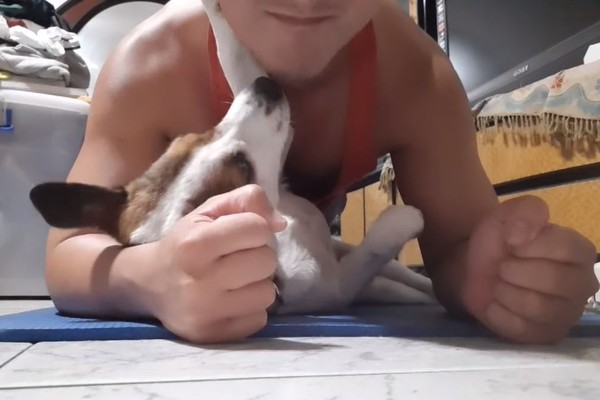 背心爸健身做棒式　底下萌妹一直亲