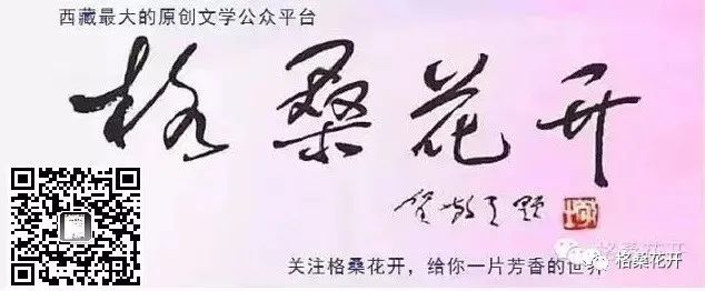 高原诗会张先生,高原诗会讲话