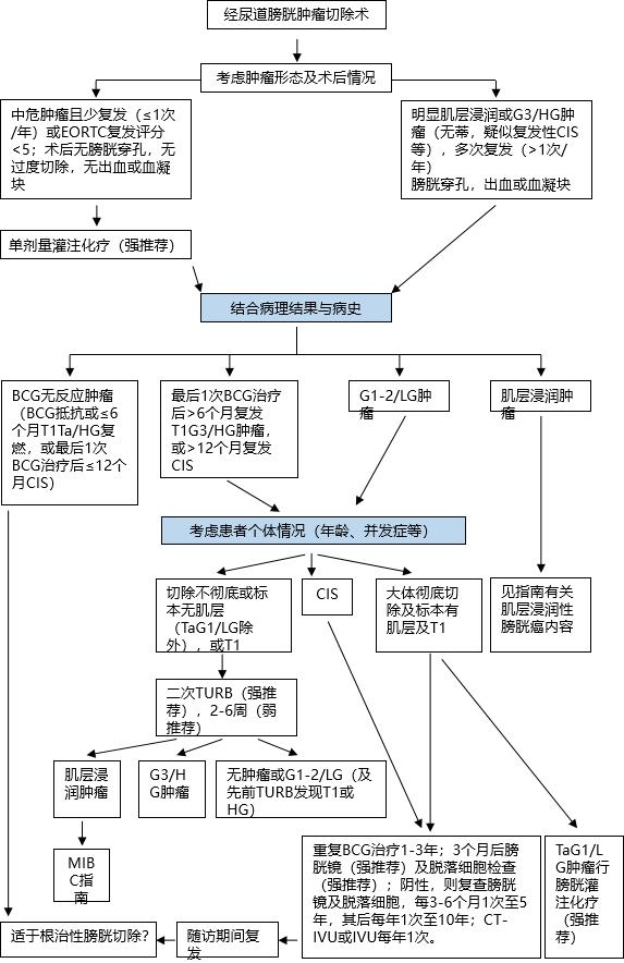 eau2020,肌层浸润性膀胱癌欧美