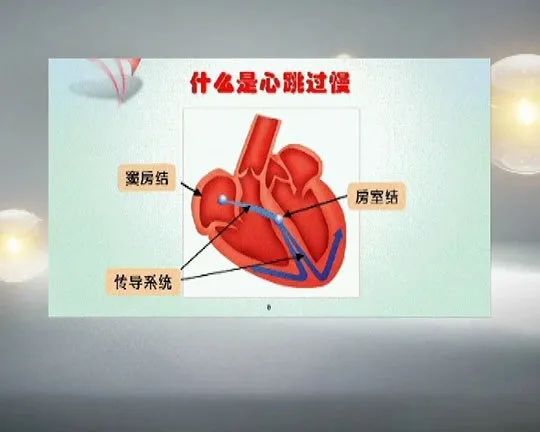 王清海教授最新视频,王清任治疗心律不齐