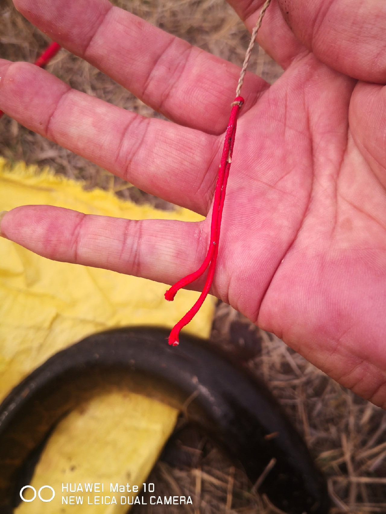 初春打黑雷蛙,开春路亚打黑刺鱼技巧