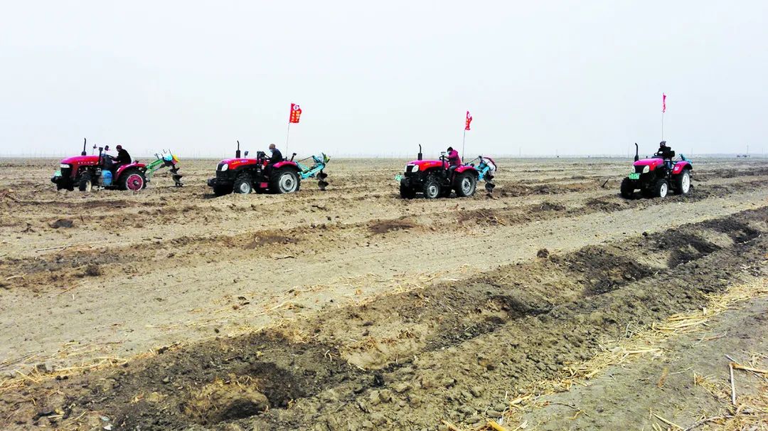 「*会两**·特刊」聚焦发展启新程春来奈曼沙变金