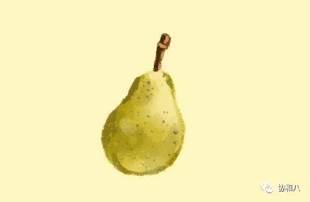 复习这些名解时总觉得怪饿的|协和八·脑洞大开