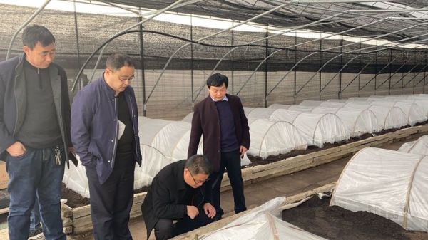 宿迁泗阳：“外号书记”的富民情怀