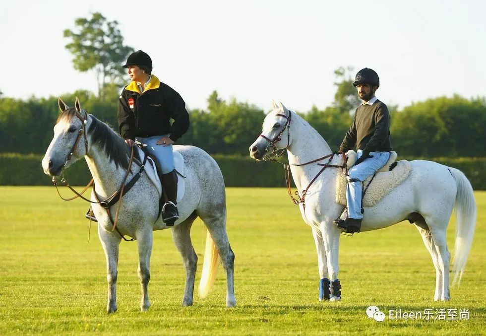 迪拜王妃出逃的真实原因,迪拜出逃英国王妃