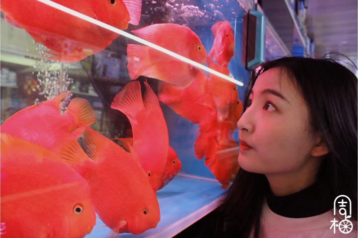 吴山游玩攻略,吴山景区自由行热门攻略