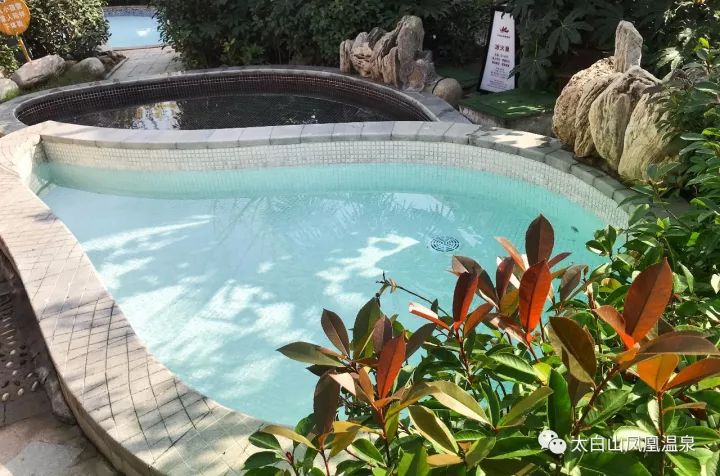 凤凰温泉99元套餐,凤凰温泉特惠票