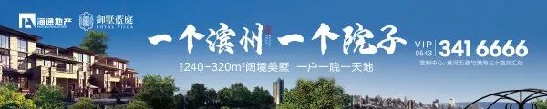山东警方破获特大电信诈骗案,山东省滨州网络诈骗案件最新